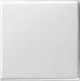 Лицевая панель Gira System 55 выключателя одноклавишного чисто-белый глянцевый 029603